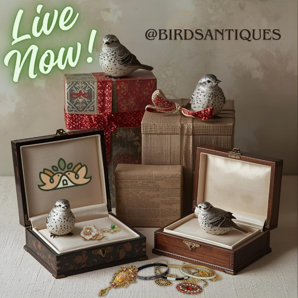 LIVE LISTING NOTIFICATION ❤️❤️❤️